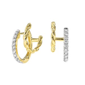 14K YG 1/3 ct. tw. Diamond Rope Hoop Earring
