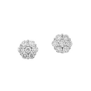14K WG 1/4 ct. tw. Diamond Seven Stone Cluster Stud Earring