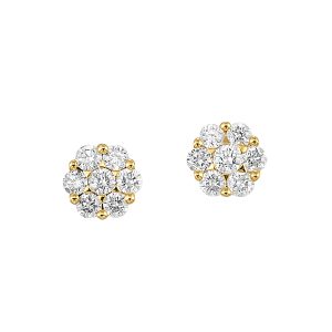 14K YG 1/3 ct. tw. Diamond Seven Stone Cluster Stud Earring